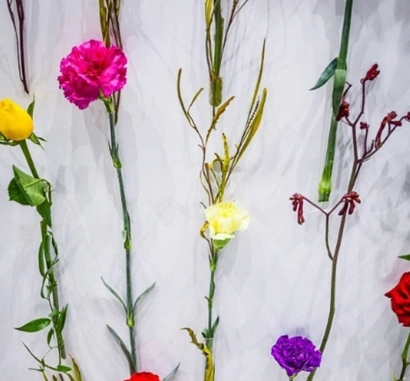 Фотозона Цветочное панно рис 1