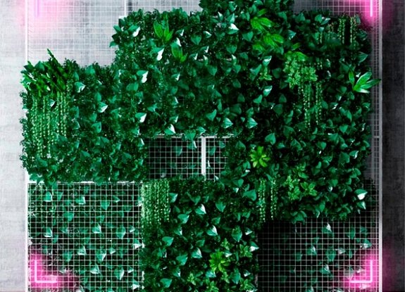 картинка Фотозона модульная с растениями от компании Рент-Бери