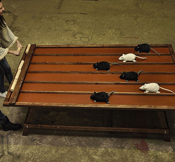 Тотализатор мышиные бега рис 2