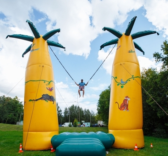 картинка Батут Кенгуру "Пальмы" от компании Рент-Бери