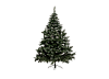 картинка Ёлка искусственная 180 см от компании Рент-Бери