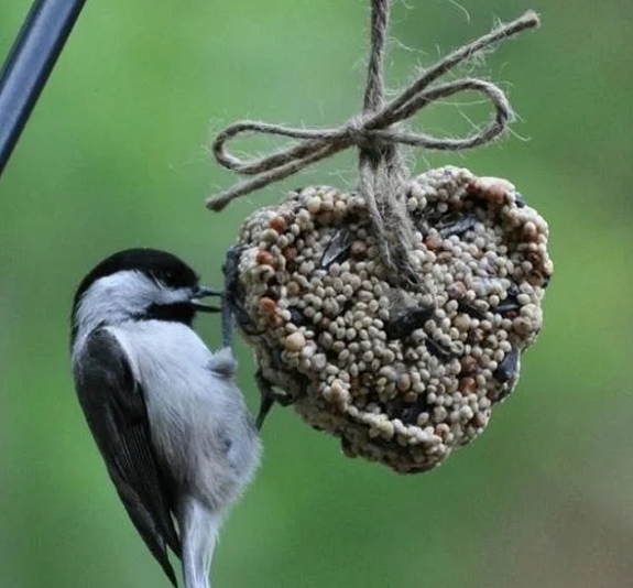 Мастер-класс "Кормушка для птиц" рис 5