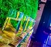 картинка Фотозона "Стена с шампанским" от компании Рент-Бери