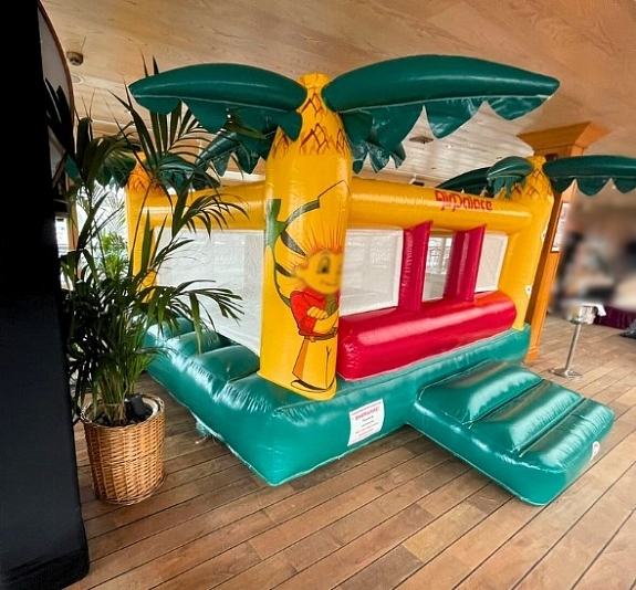 Батут с сухим бассейном "Незнайка" рис 3