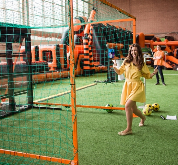 Интерактивные ворота рис 2