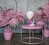 Пальма Pink рис 3