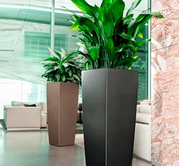 картинка Кашпо от компании Рент-Бери