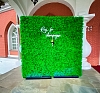 Фотозона "Руки с шампанским" рис 9