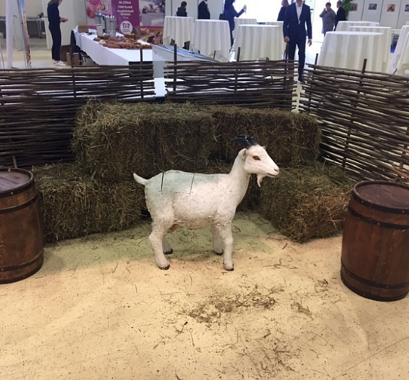 картинка Дойная коза от компании Рент-Бери