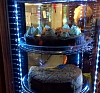 Витрина кондитерская 100 л 0,21 кВт рис 3