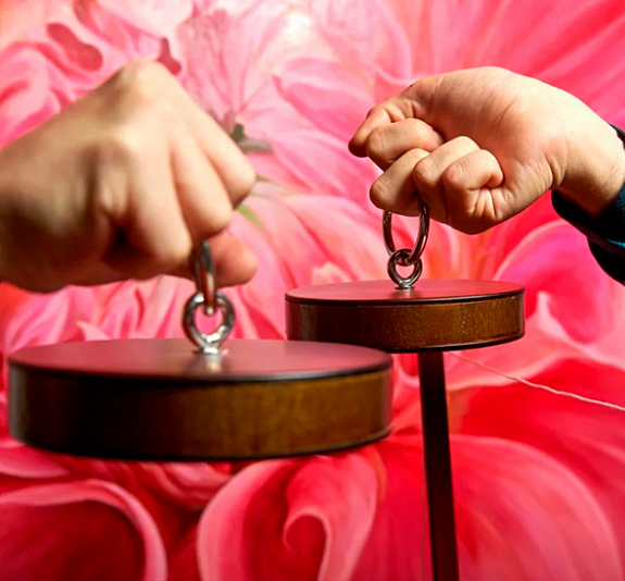 Весы силы рис 1