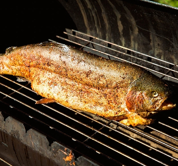 Барбекю кейтеринг рис 3