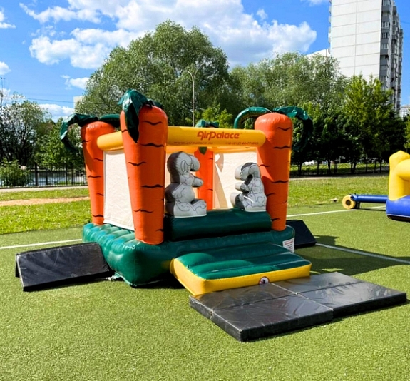 Батут с сухим бассейном "Морковка" рис 3