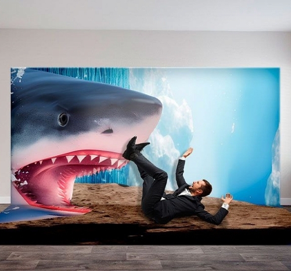 Фотозона оптические иллюзии «Акула» рис 2