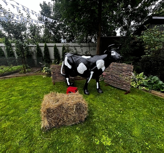 картинка Пивная корова от компании Рент-Бери