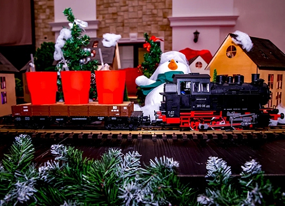 картинка Бар «Зимний поезд» от компании Рент-Бери