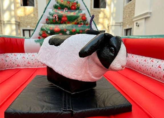 картинка Родео "Кролик" от компании Рент-Бери