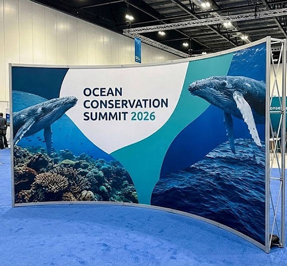 Пресс волл тип Радиусный печать 600 рис 1