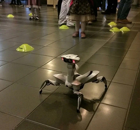 Луноходы рис 1