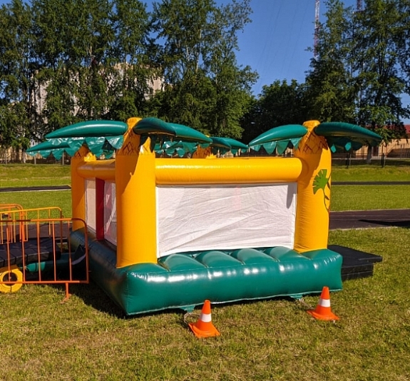 Батут с сухим бассейном "Незнайка" рис 1