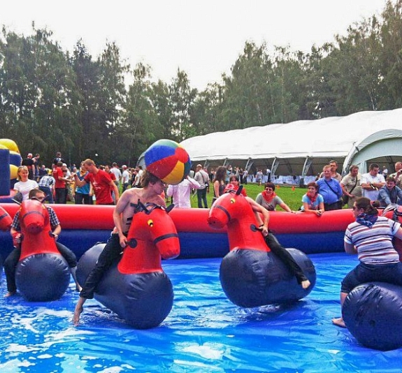 Кони Водное поло рис 2