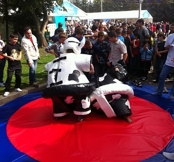 картинка Сумо "Быки" от компании Рент-Бери