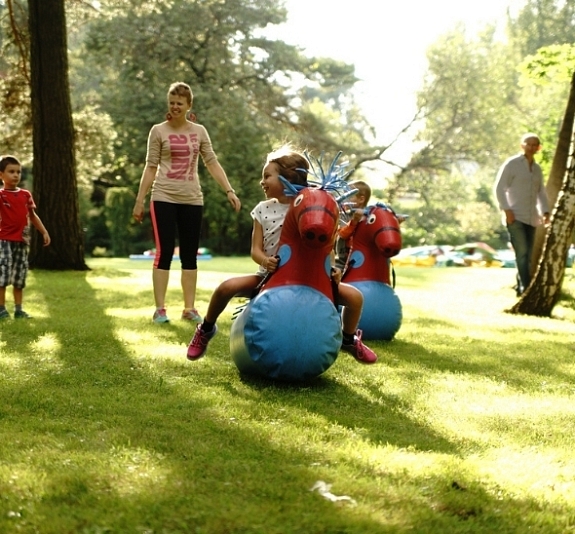 картинка Конь надувной от компании Рент-Бери