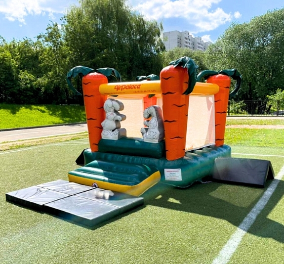 Батут с сухим бассейном "Морковка" рис 1