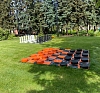 картинка Гигантские шашки от компании Рент-Бери