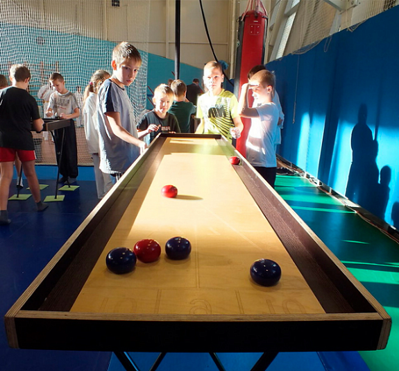 Шаффлборд настольный рис 1