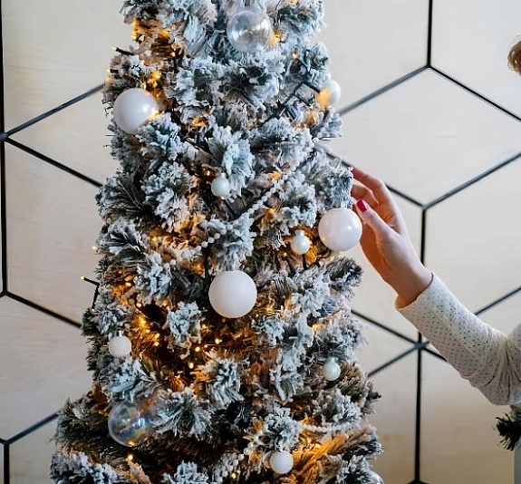 картинка Фотозона новогодняя "White style" от компании Рент-Бери