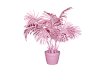 Пальма Pink