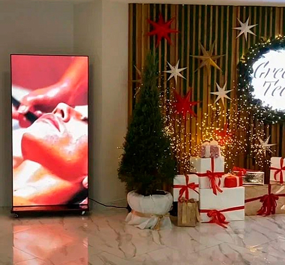 Видеопилон 1x2м. Шаг 2,5 рис 1