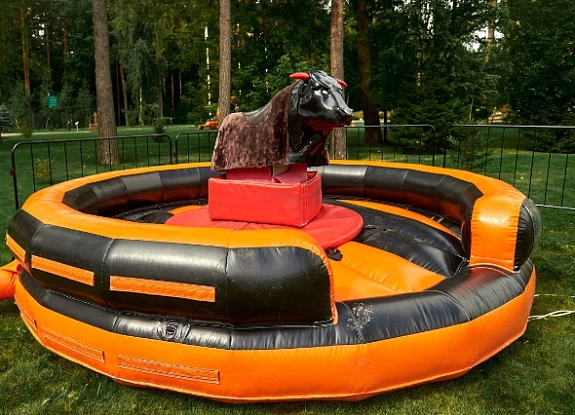 картинка Аттракцион Бык Родео от компании Рент-Бери