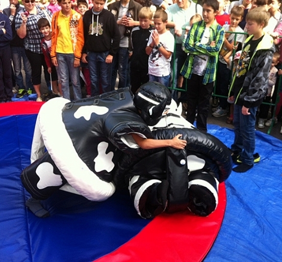 картинка Сумо "Быки" от компании Рент-Бери