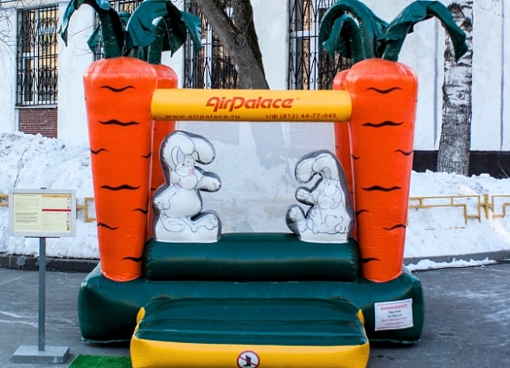 Батут с сухим бассейном "Морковка"