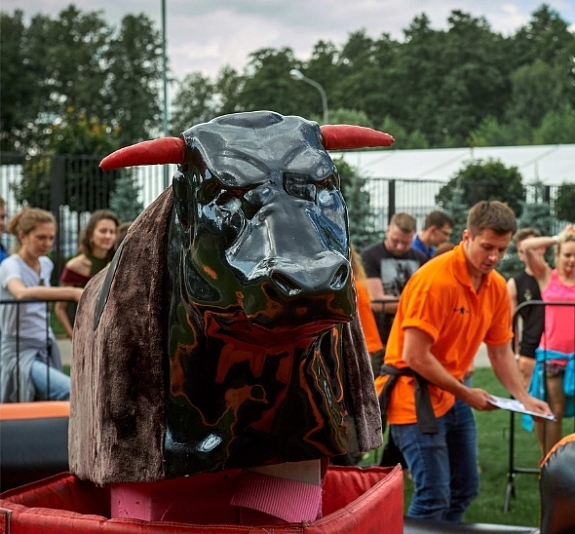 картинка Аттракцион Бык Родео от компании Рент-Бери