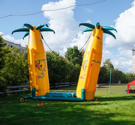 картинка Батут Кенгуру "Пальмы" от компании Рент-Бери