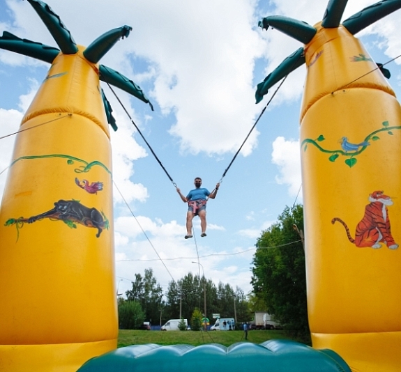 картинка Батут Кенгуру "Пальмы" от компании Рент-Бери