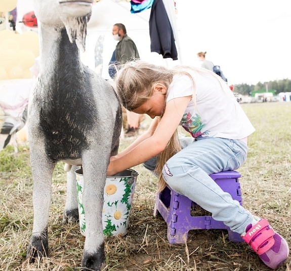 картинка Дойная коза от компании Рент-Бери