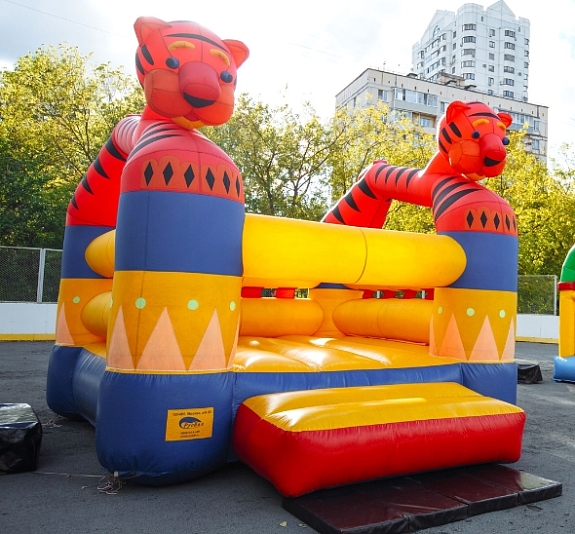 Батут "Тигрята" рис 3