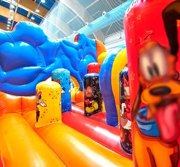 Батут "Мышки" рис 5