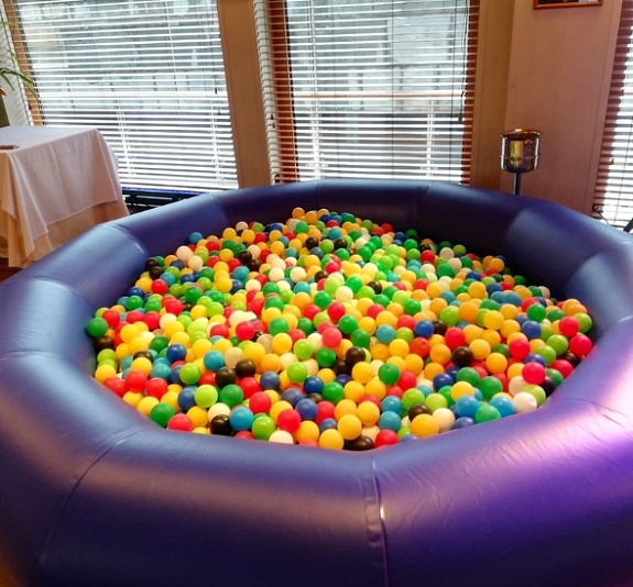 Сухой бассейн "Круглый" рис 1