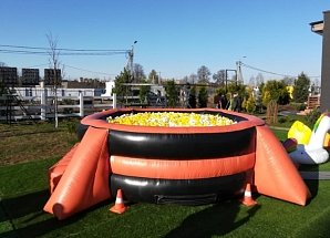 Сухой бассейн "Космический"