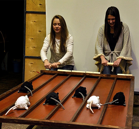 Тотализатор мышиные бега рис 1