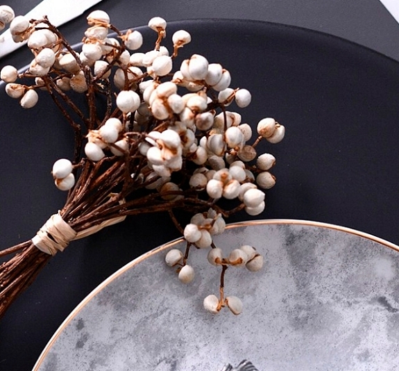 Тарелки Lunar рис 1