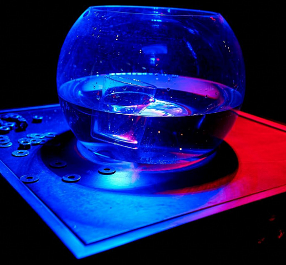 Аквариум рис 1