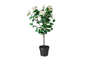 Искусственное растение Камелия