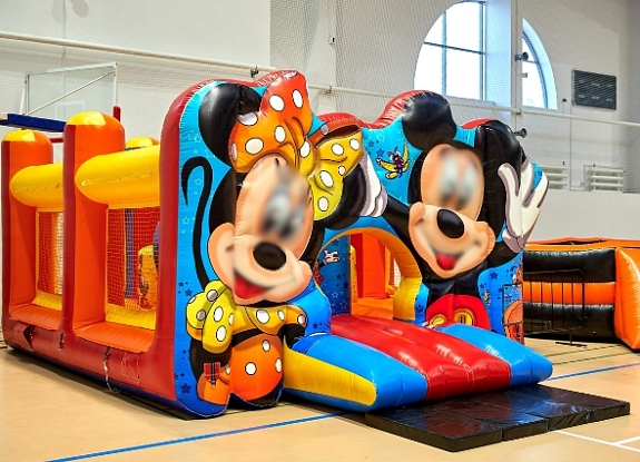 Батут "Мышки"