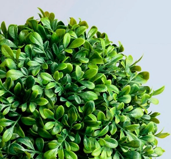 Искусственное растение Самшит рис 1